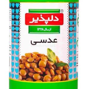 کنسرو عدسی دلپذیر